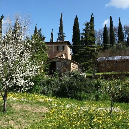 Bio B&B La Fanciullaccia Capannoli Exterior foto