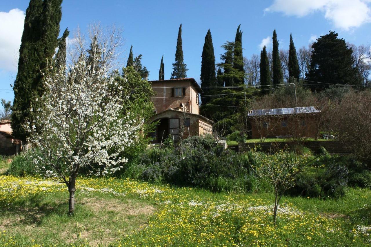 Bio B&B La Fanciullaccia Capannoli Exterior foto